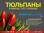 Тюльпаны к 8 марту по самым лучшим ценам
