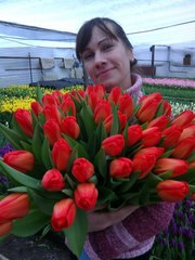 Продам цветы тюльпаны к 8 марта оптом